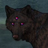 Seer Headshot