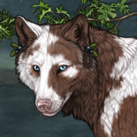 Nerthus Headshot