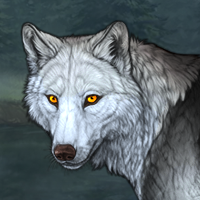 Wolf Headshot