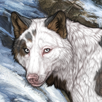 IceBreath Headshot