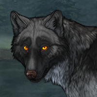 Wolf Headshot