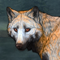 Wolf Headshot