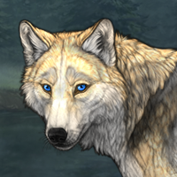 Skoll Headshot