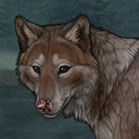 DirtPelt Headshot