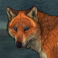 The Fox Headshot