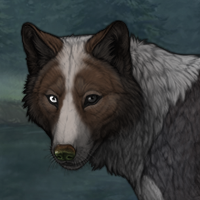 Pumice White Irish - Fini Headshot