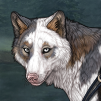 Piebald G10 Headshot