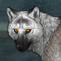 Wolf Headshot