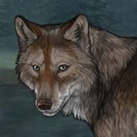 Wolf Headshot
