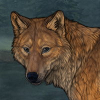 Cedarpelt Headshot