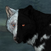 Birch Forest Headshot