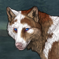 Piebald female Headshot