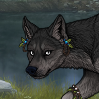 New Puppy (herbalist heir Headshot