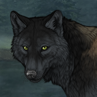 Wolf Headshot