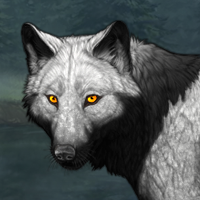 Wolf Headshot