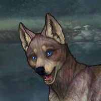 Chrysoberyl Puppy - 7M Headshot