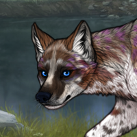 badger  Zerdava pup Headshot