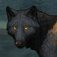 Wolf Headshot