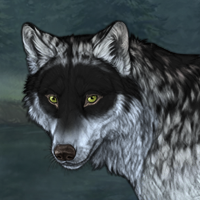 Wolf Headshot