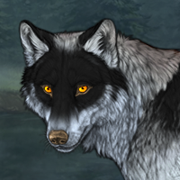 Wolf Headshot