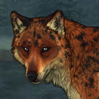 Foxie Headshot