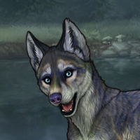 a Headshot