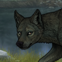 River Stones Headshot