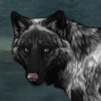 Wolf Headshot