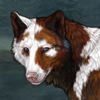 storm, piebald, vixen Headshot