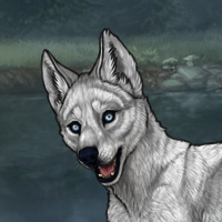 3m3r g2 husky chrome Headshot