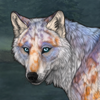 Brightpelt Headshot