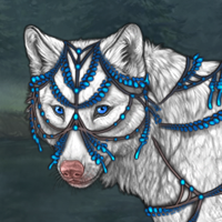 Wolf Headshot