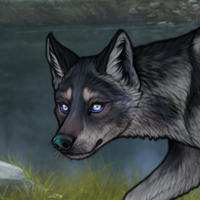 G3 Husky Blueschist Headshot