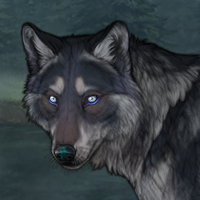 G3 Husky Blueschist Headshot