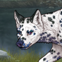 NIB G6 Dalmatian Headshot