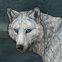 Icypelt Headshot