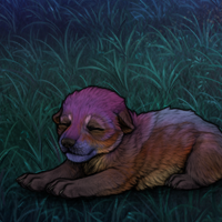 New Puppy Headshot