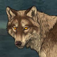 Wolf Headshot