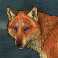 fox 2 Headshot