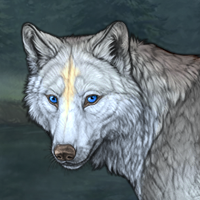 Wolf Headshot