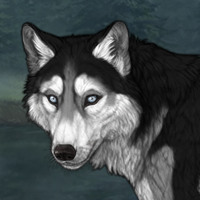 Sleetstorm Headshot