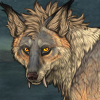 Wolf Headshot