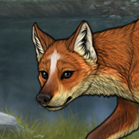 New Puppy fox Headshot