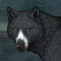 Wolf Headshot