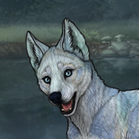 Wolf Pup Headshot