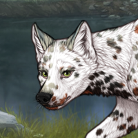 Dalmatian Pie Headshot