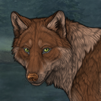 Wolf Headshot