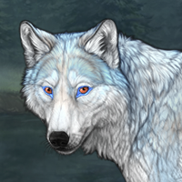 Spiorad Headshot