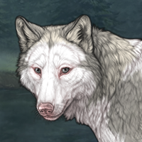 Piebald Frontal Headshot