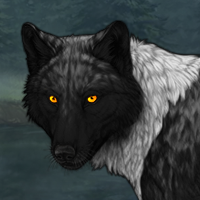 Wolf Headshot